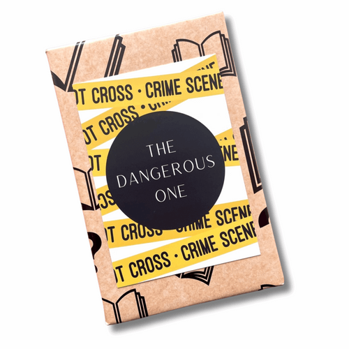 Blind Date With A Book Crime, thoughtful gift box with curated items for every occasion
